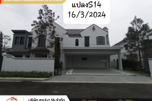 1000081424_0x0_1944x1458